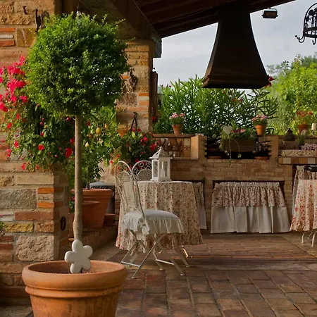 Gallo Delle Pille 3* Monzambano
